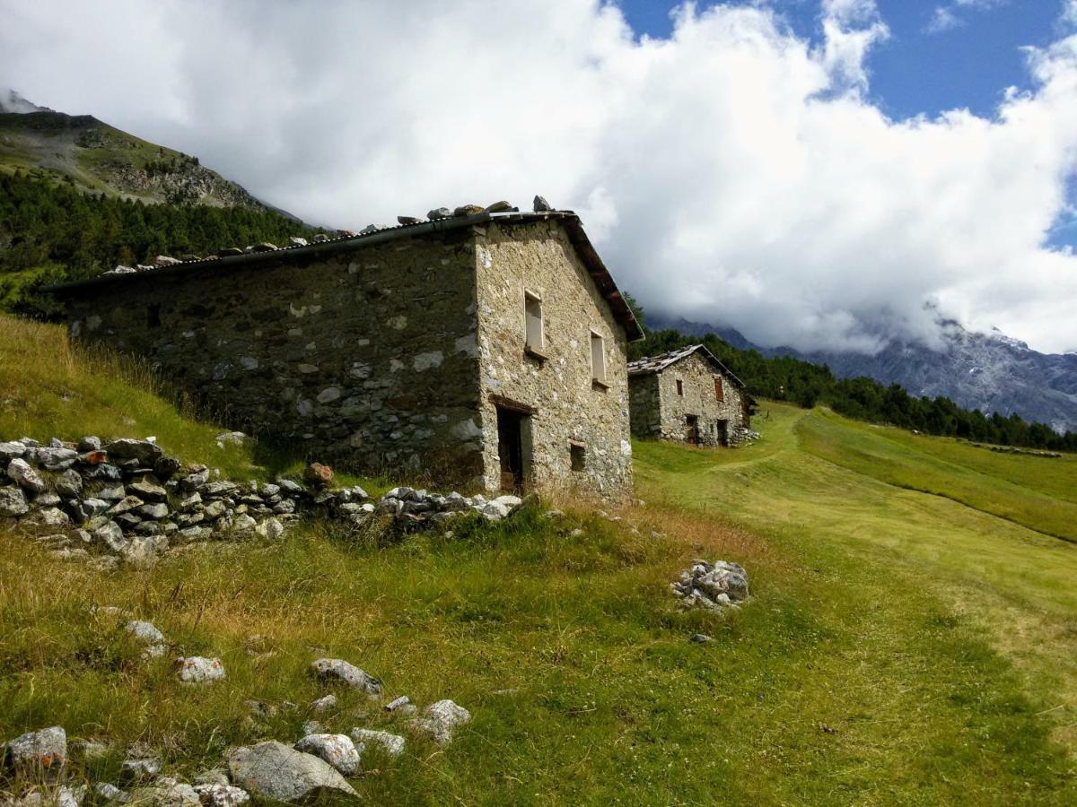 Casa Zebrusius - Zebrusius's App